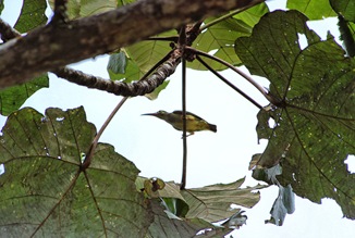DSC_8891_lzn