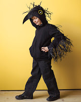 Black Bird Wings Costume