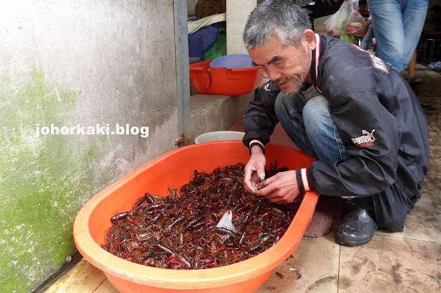 xialongxia-baby-lobsters-crayfish-yabby-crawfish