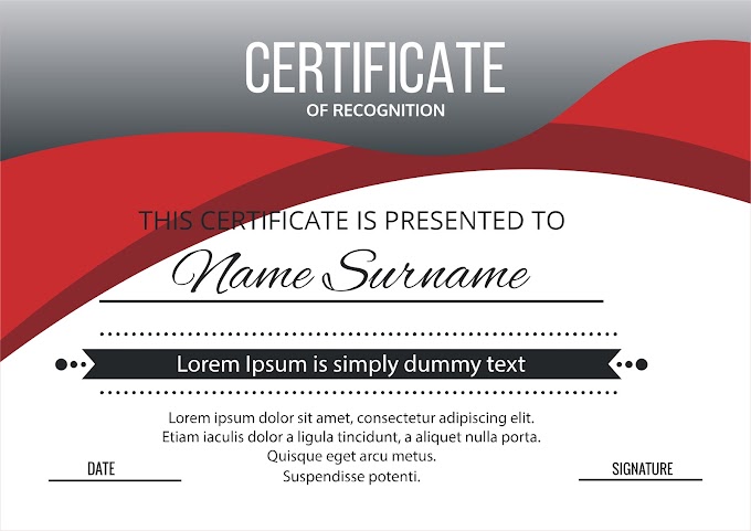 Certificate of Recognition 3