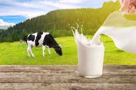 Seeing Milk in Dream Meaning islamic Dream Interpretation