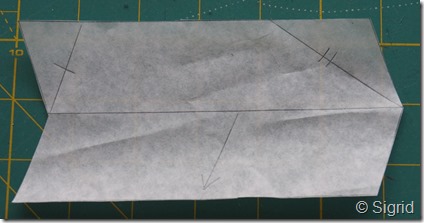 P4170295