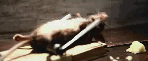 ratoatleta