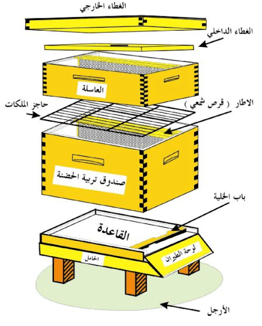 خلية لانجستروث