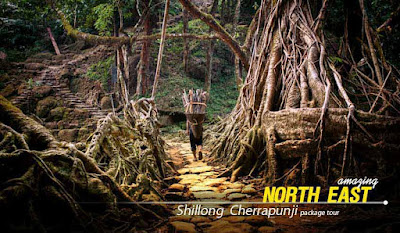 Shillong Cherrapunji Package Tour from NatureWings