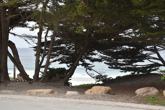 City Escape: Carmel-by-the-Sea at the Hofsas House  via  www.productreviewmom.com