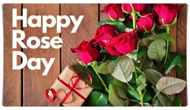 Happy Rose Day Wishes Messages Quotes Shayari For Greeting Cards