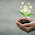Crypto as an Emerging Wealth Asset: A Beginner's Guide