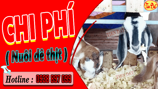 Chi phí chăn nuôi dê thịt