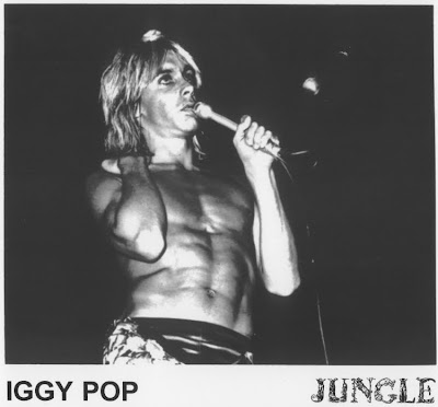 iggy, iggy pop, the stooges, stooges, rock, punk, music, photo