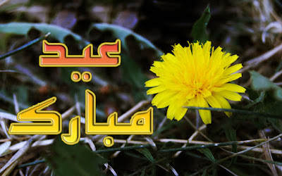 Free Eid Ul Zuha Adha Mubarak 2012 Card Flower Wallpapers Urdu Text 002