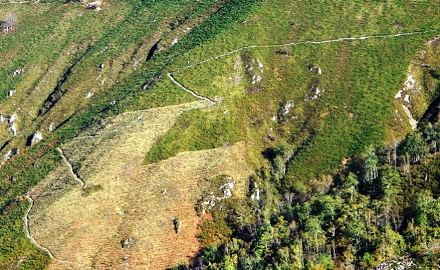 Sendero en las montañas de Covadonga (archivo del autor)