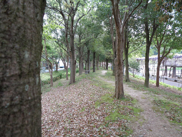 東郷湖羽合臨海公園あやめ池公園