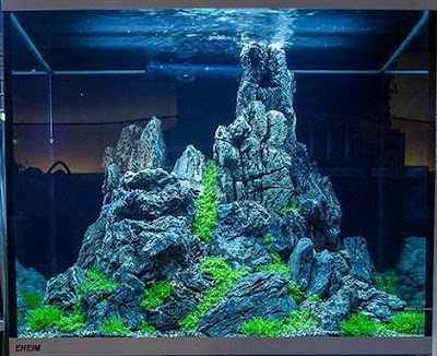 Desain Aquascape