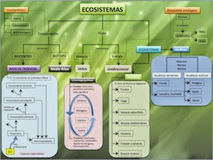  Ecosistemas