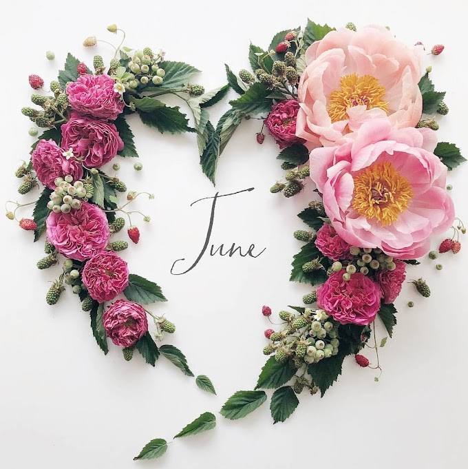 Hello June Chapter 6 Of 12