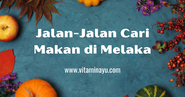 Jalan-Jalan Cari Makan di Melaka - vitaminayu