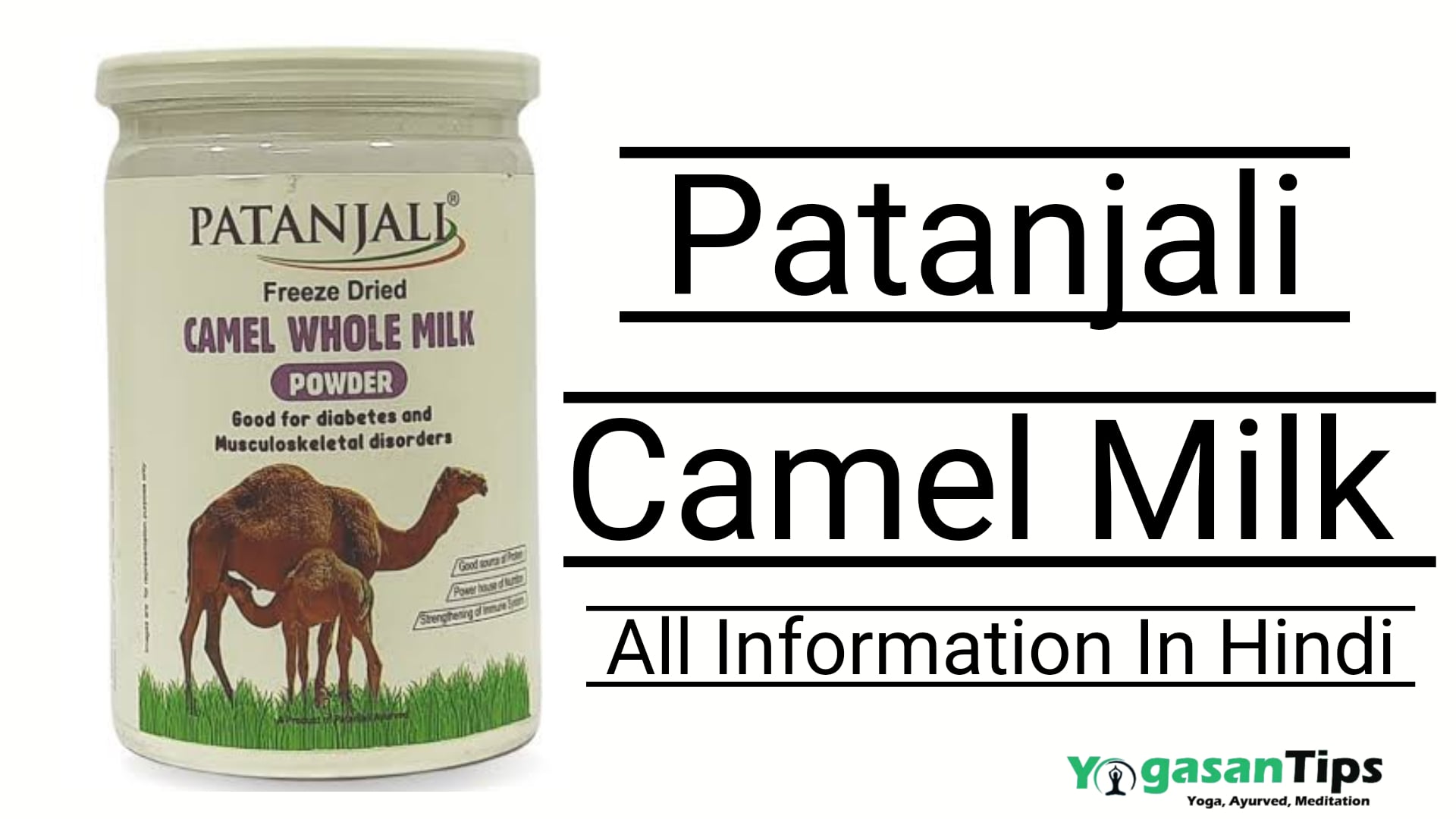 पतंजलि कैमिल मिल्क के फ़ायदे  || Patanjali camel milk benefits hindi
