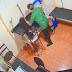 Vídeo: cadela morre após de ser agredida por funcionárias em pet shop
