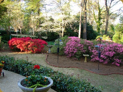 View from back porch