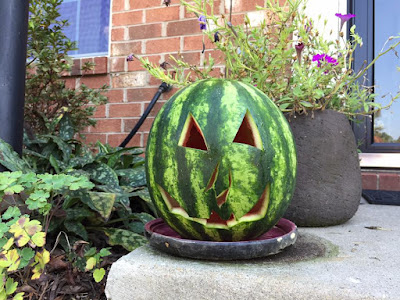 http://goth-gardening.blogspot.com/2017/08/watermelon-jack-o-lantern-for-goth-it.html