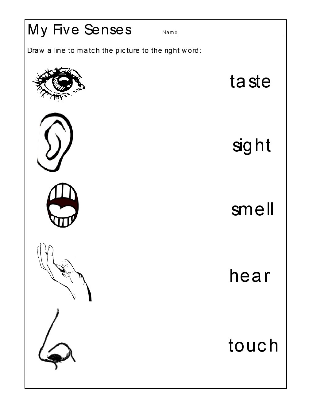 kindergarten worksheets kindergarten worksheets the 5 senses worksheets