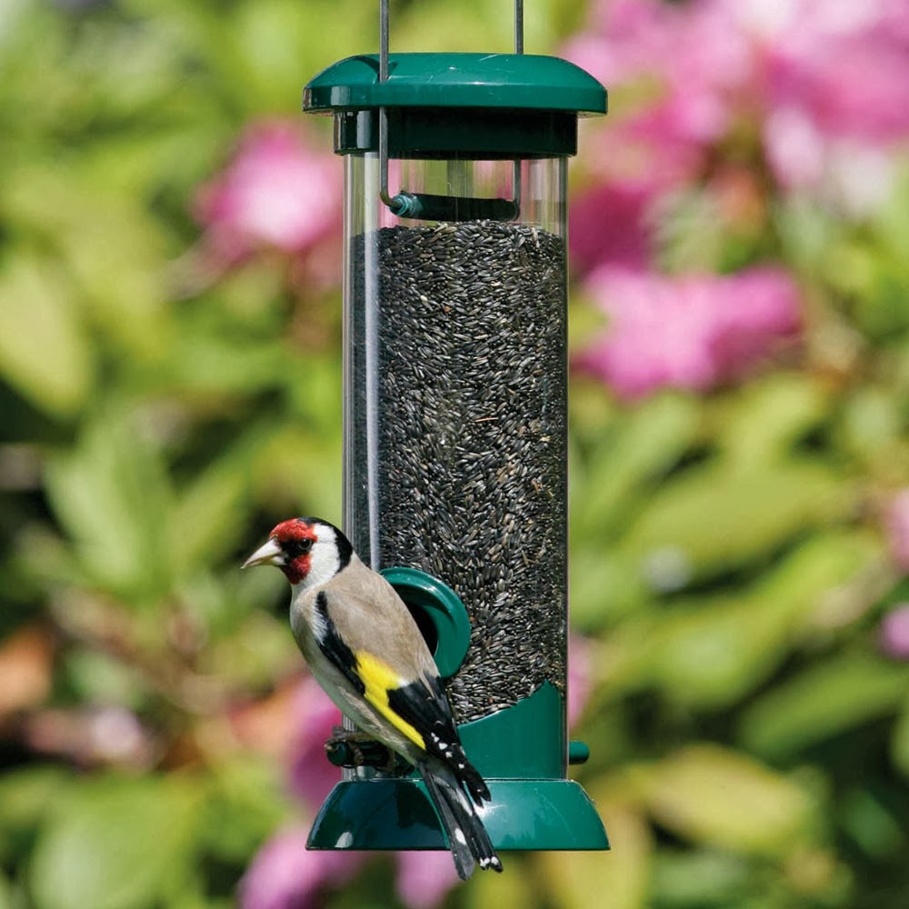 Bird Feeder Tempat Makan Burung Unik obat serangga kecoa 