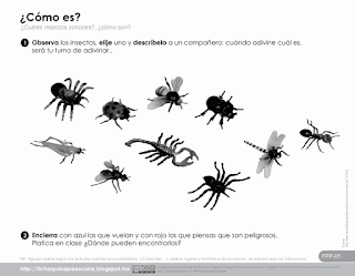 Clasificar insectos 2