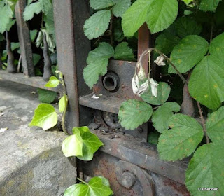 urbex-alsace-manoir-chateau-verriere-lumiere-exterieurs-jpg