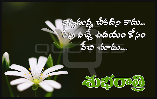 Telugu-Good-Night-Telugu-quotes-Whatsapp-images-Facebook-pictures-wallpapers-photos-greetings-Thought-Sayings-free