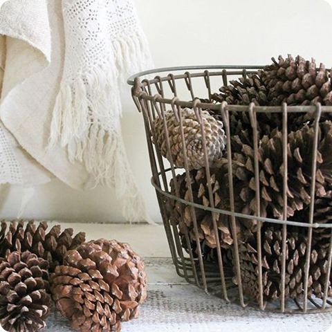 pinecones in basket