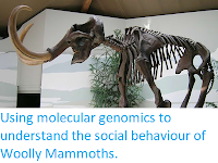 https://sciencythoughts.blogspot.com/2017/12/using-molecular-genomics-to-understand.html