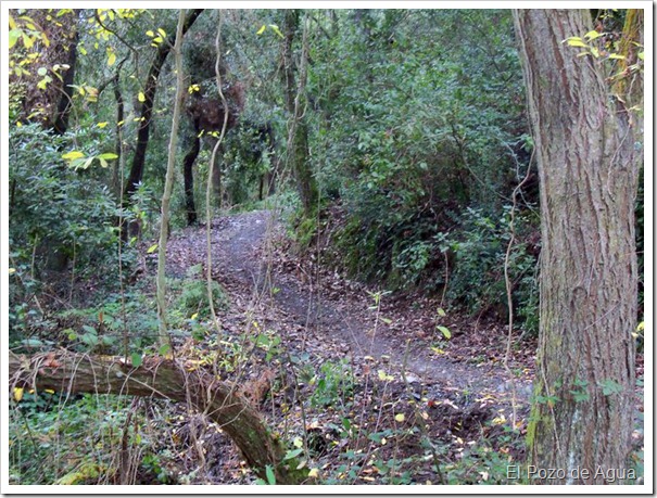 Parque Natural de la Sierra de Collserola ~ El Pozo de Agua