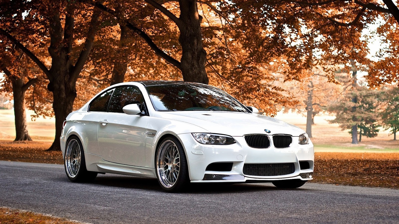 BMW Car Wallpapers, Download Free BMW Wallpapers  Most 