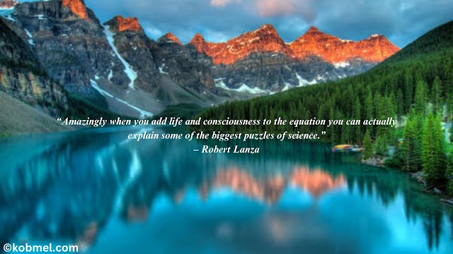 Amazing Quotes