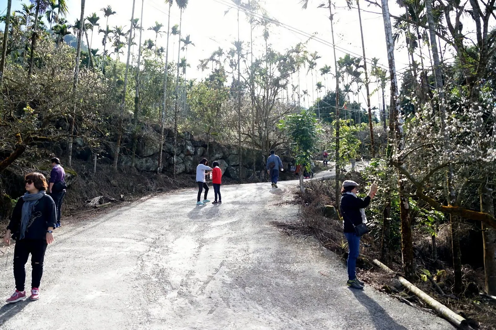 離開人群市區｜台南親山步道懶人包｜多接近大自然一起強身健體｜特輯