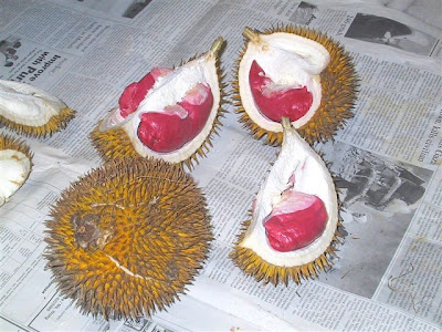10 Fakta Kesehatan Tentang Durian [ www.BlogApaAja.com ]