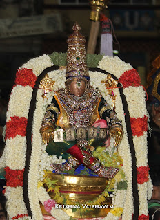 Aani,Yoga Narasimhar Thirukolam, Purappadu , Vahanam,Sri Theliya Singar, Yoga Narasimhar,Brahmotsavam ,Purappadu,Video, Divya Prabhandam,Sri Parthasarathy Perumal, Triplicane,Thiruvallikeni,Utsavam,