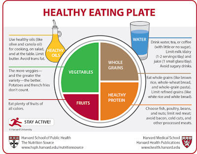 Food Lovers Fat Loss Diet Plate