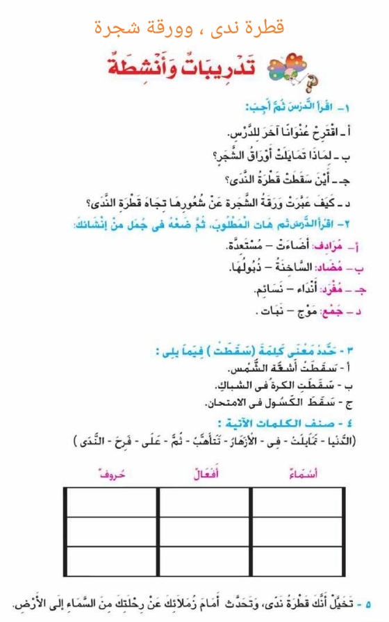 قطرة ندى وورقة شجرة الصف الرابع