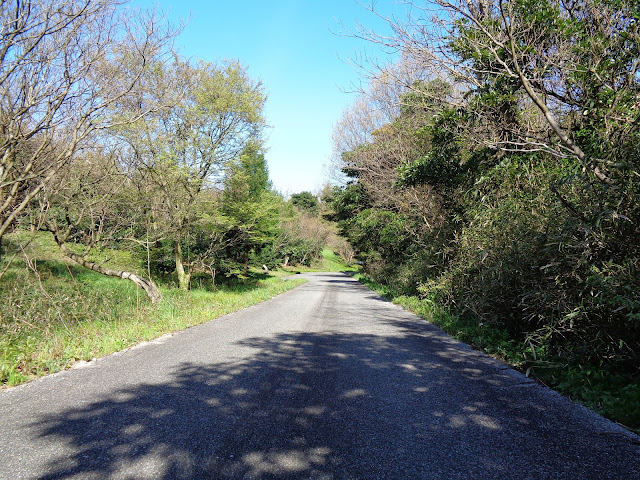 遺構展示館裏の遊歩道