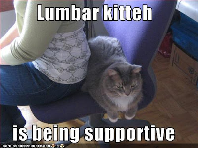 ad014_funny-pictures-cat-is-supportive