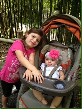 IMG_0198 IMG_0198