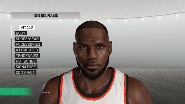 NBA 2K19 LeBron James Cyberface