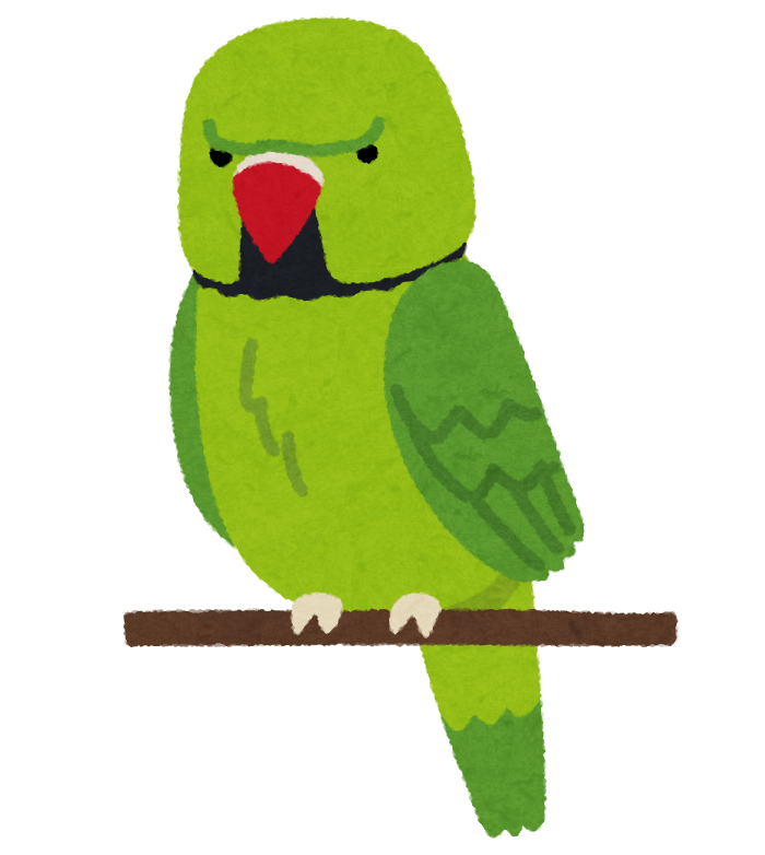 ワカケホンセイインコのイラスト かわいいフリー素材集 いらすとや