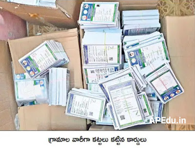 Rice given on next month to new ration cards