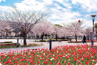 シンボルプロムナード公園