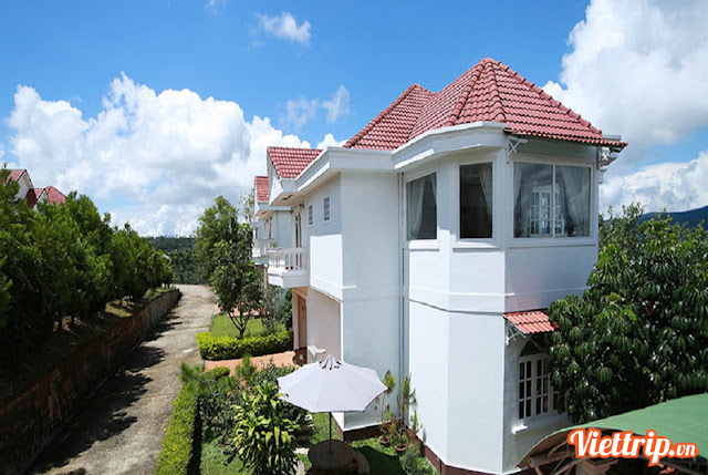 Villa Osaka Đà Lạt