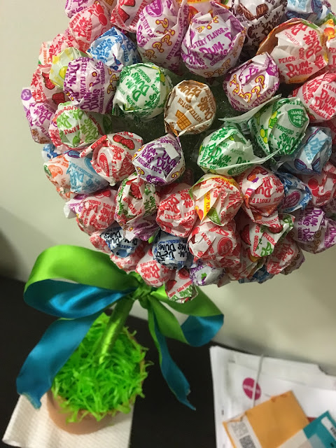 lollipop topiary close up photo