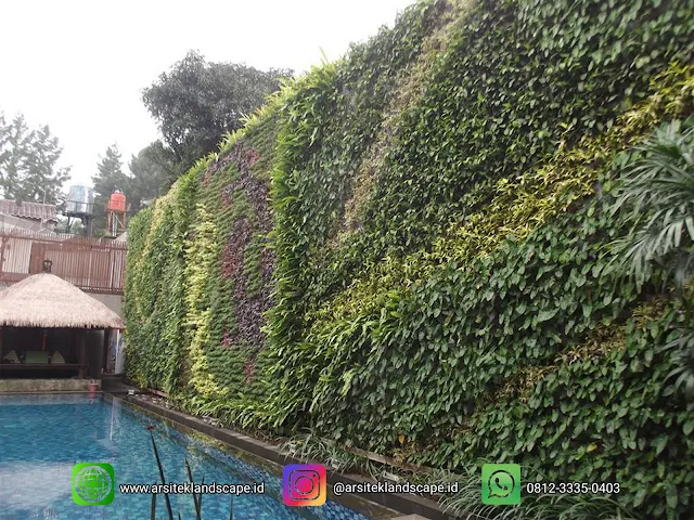 jasa vertical garden jakarta jasa pembuatan vertical garden tanaman asli $ vertical artificial sintetis di jakarta jasa pembuatan taman vertical jakarta, green wall jakarta, jasa taman vertical jakarta,